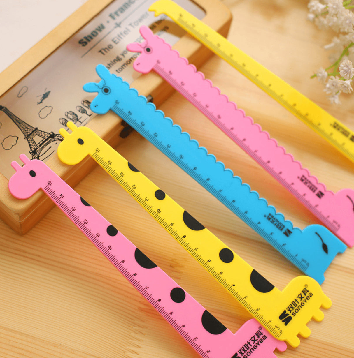 Plastic Ruler