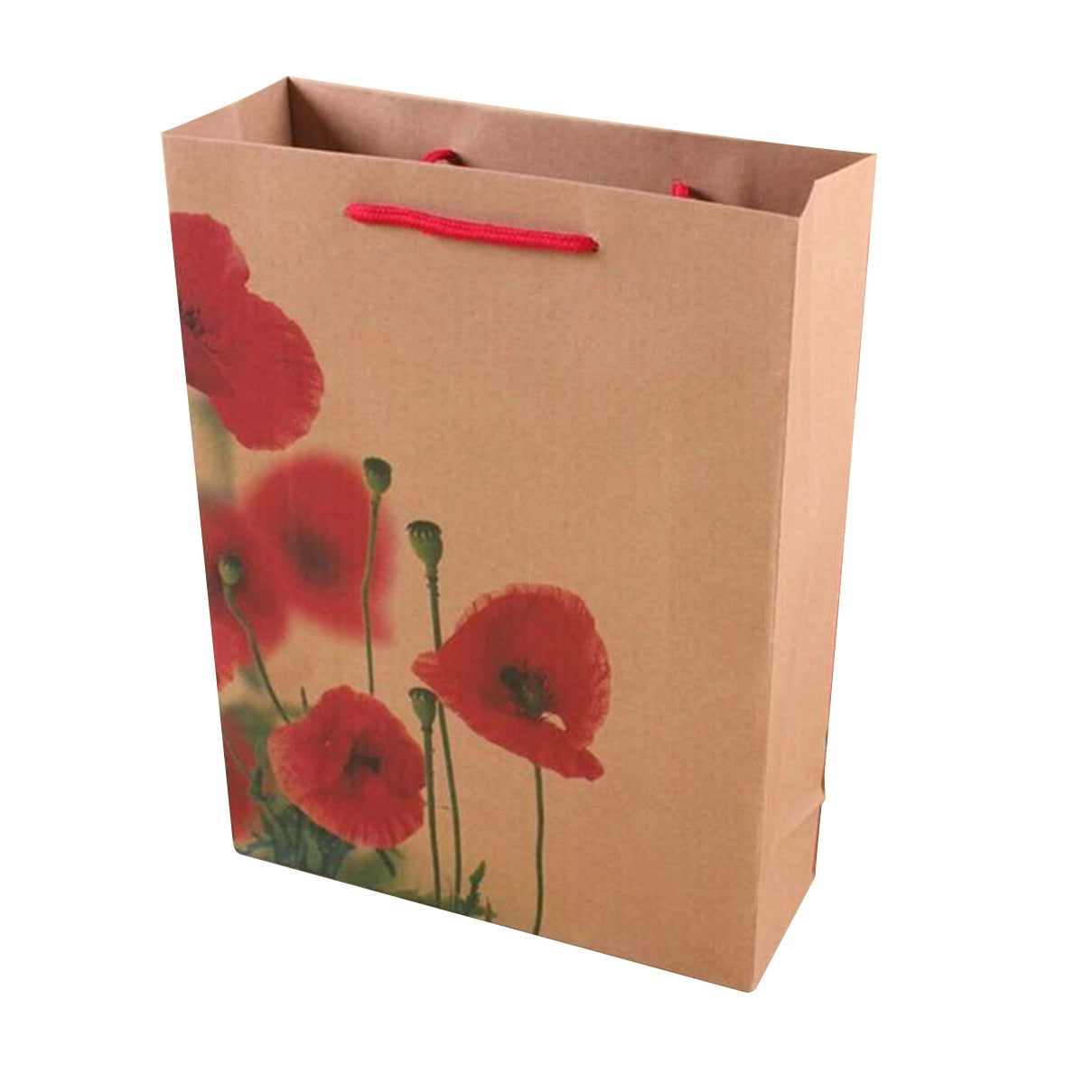 Brown Paper Gift Bags