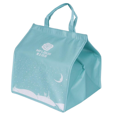 Portable Insulated Lunch Bag