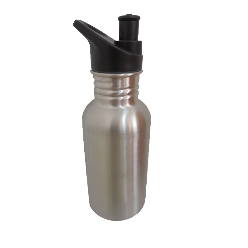 18oz Stainless Steel Water Bottle