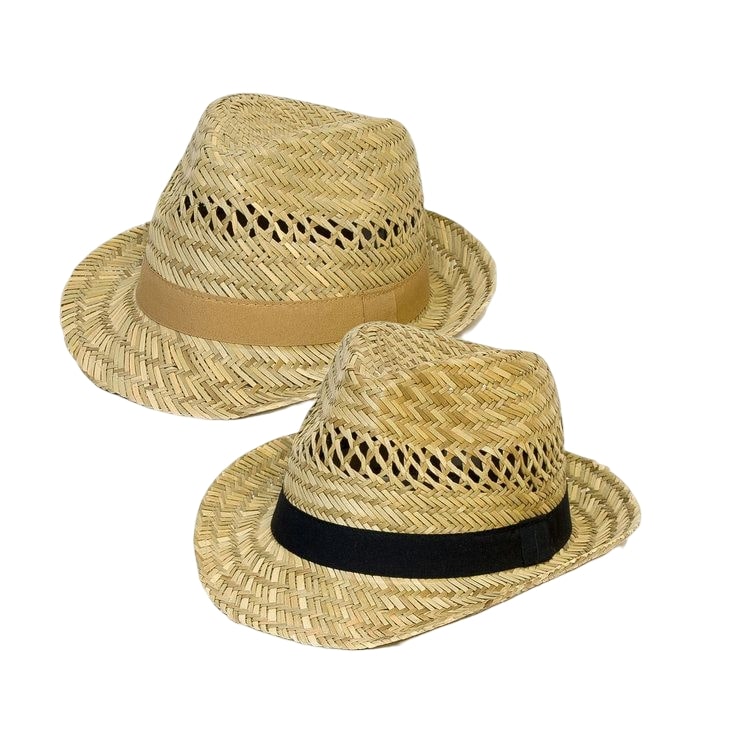 Straw Beach Hat