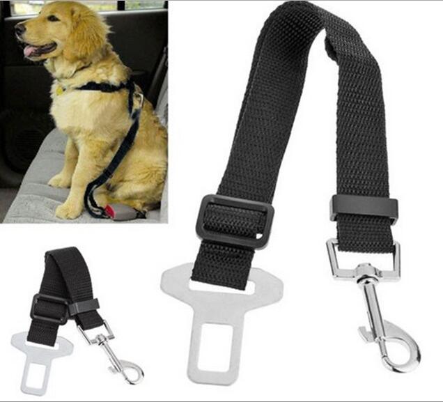 Dog Leash For Cars