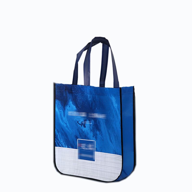 Shiny Laminate Tote Bag