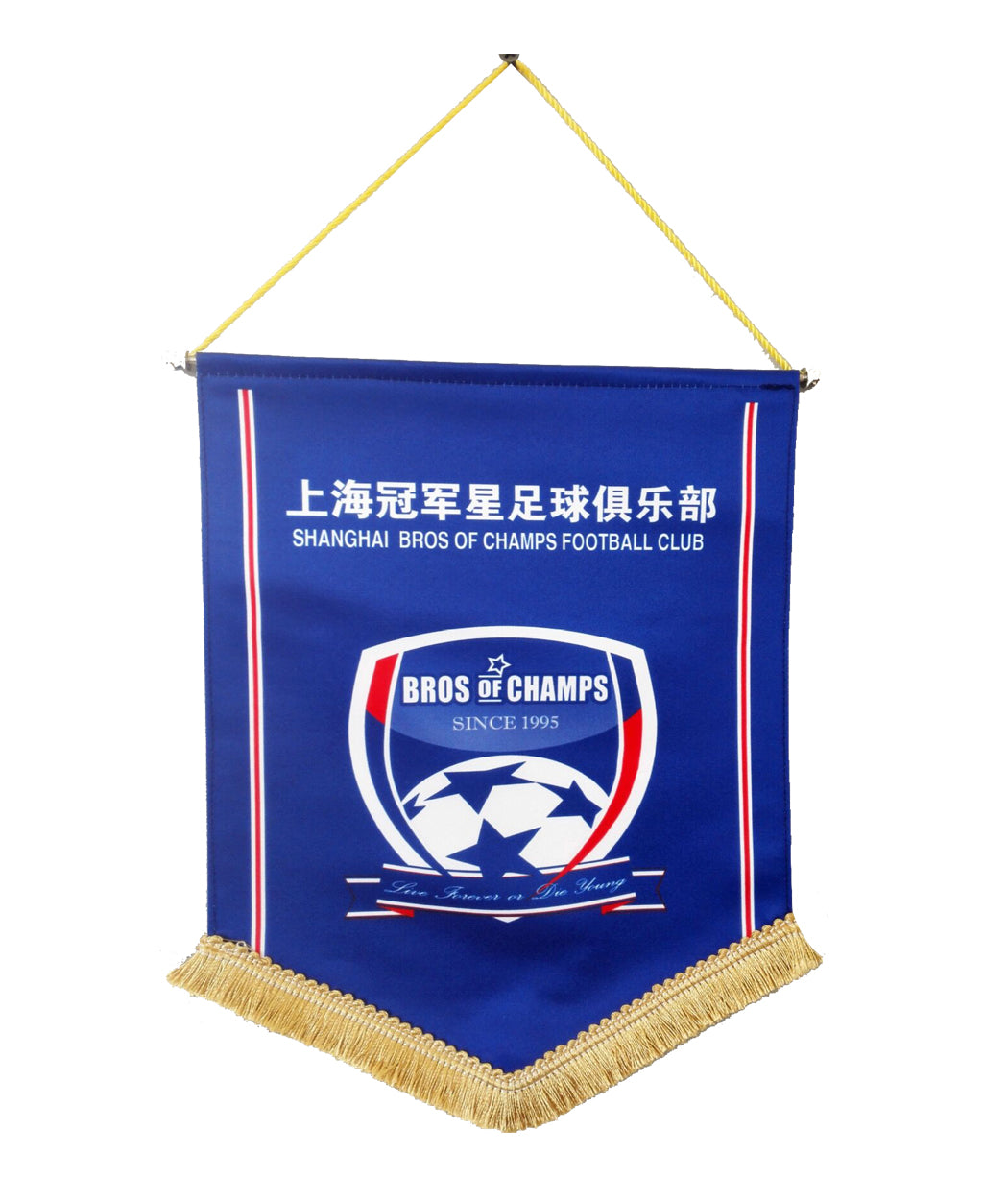 Pennant Flag