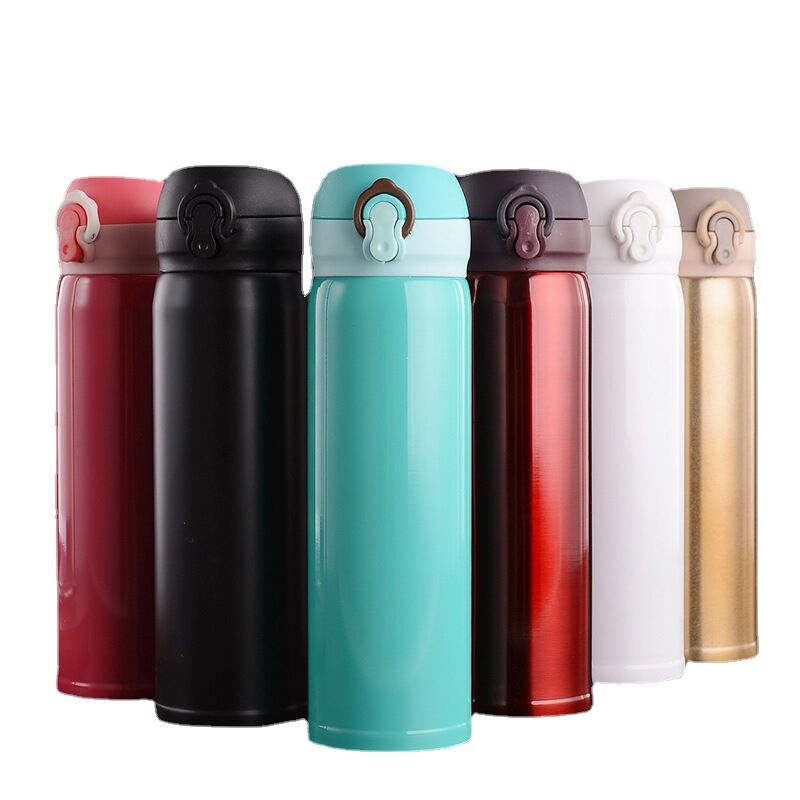 500ml Stainless Water Bottle