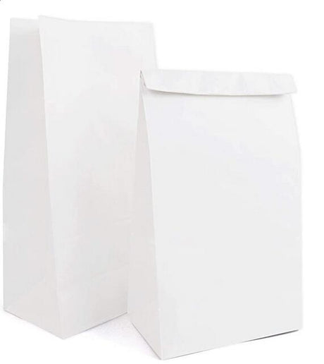 Pharmacy Paper Bag