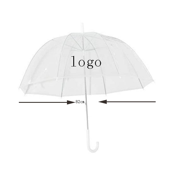 Transparent Umbrella