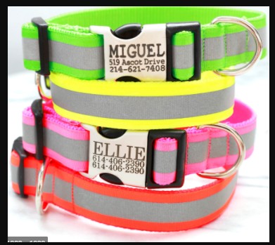 Medium Dog Collars