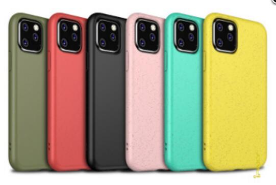 Phone 11 Pro Case