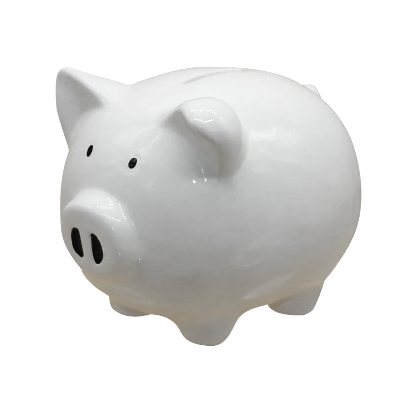 Money Box Piggy Bank