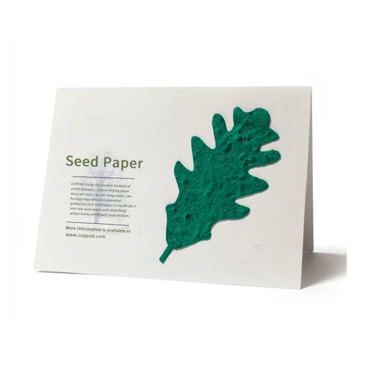 Seed Paper Folding Card