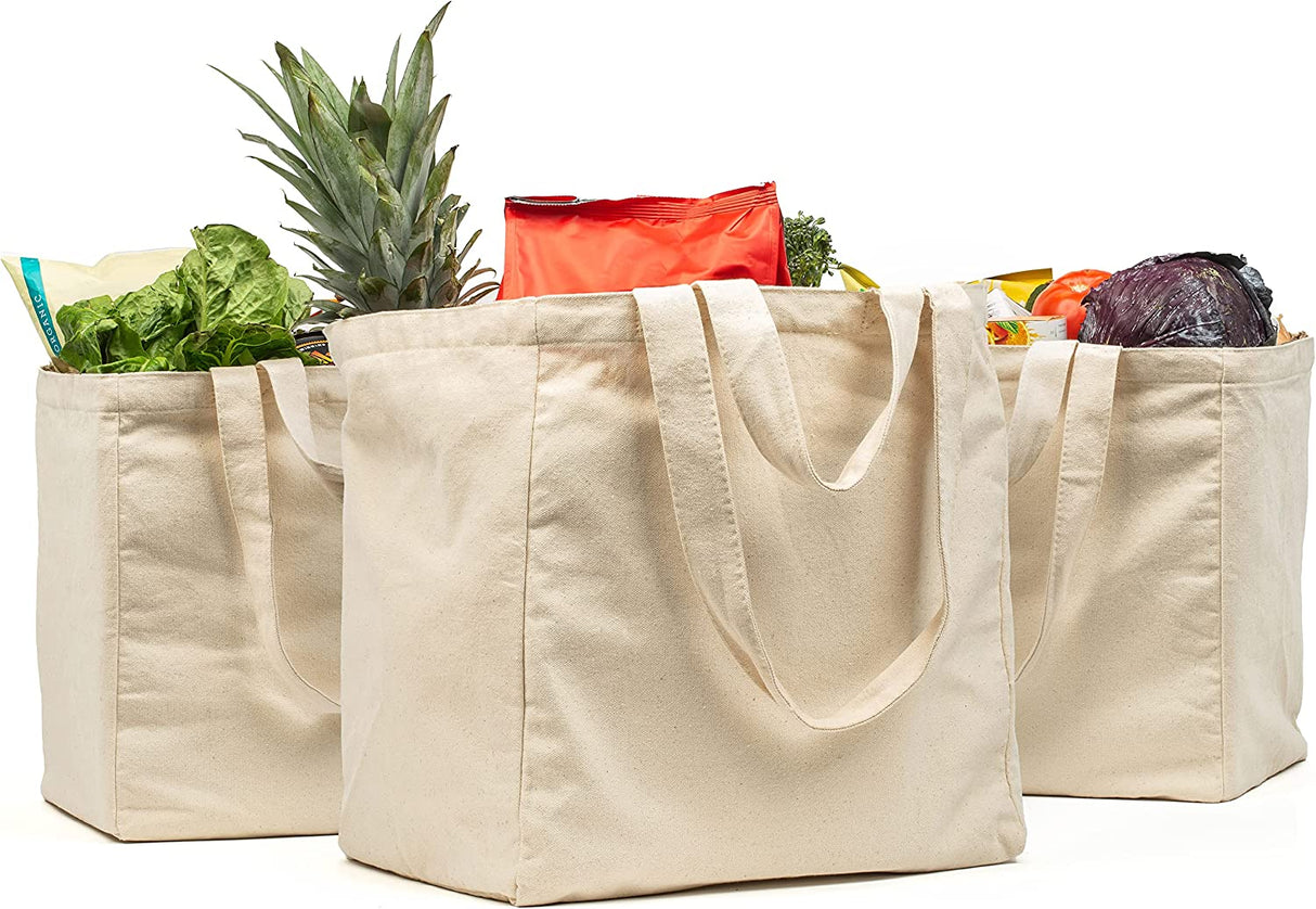 Reusable Shopping Bag