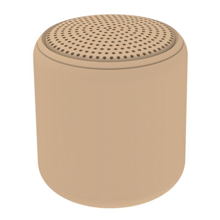 Wireless Smart Speaker