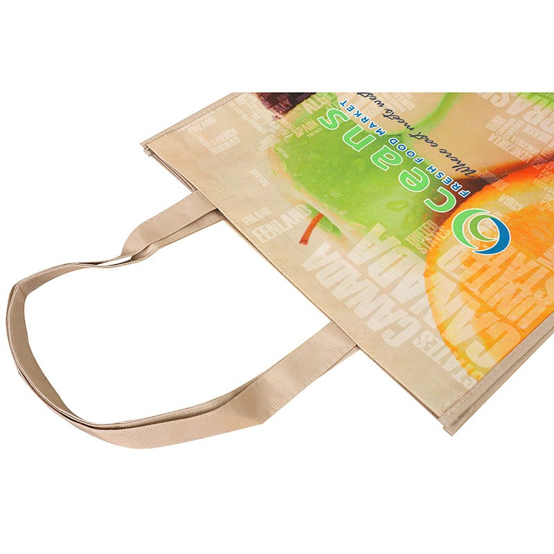 Reusable Non-woven Shopping Bag