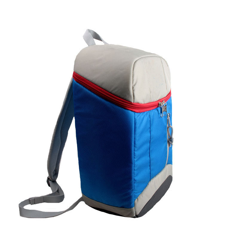 Insulated Backpack