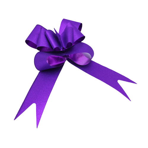 Purple Ribbon Toy