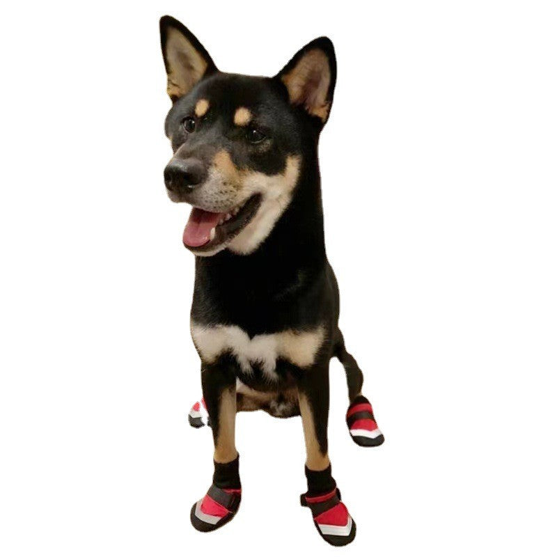 M Size Dog Shoes