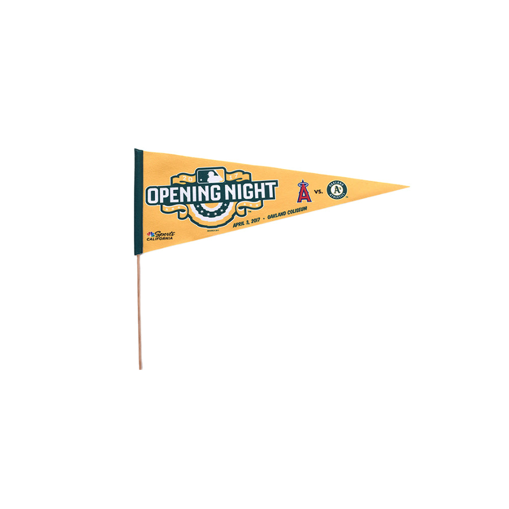 Triangular Felt Pennant