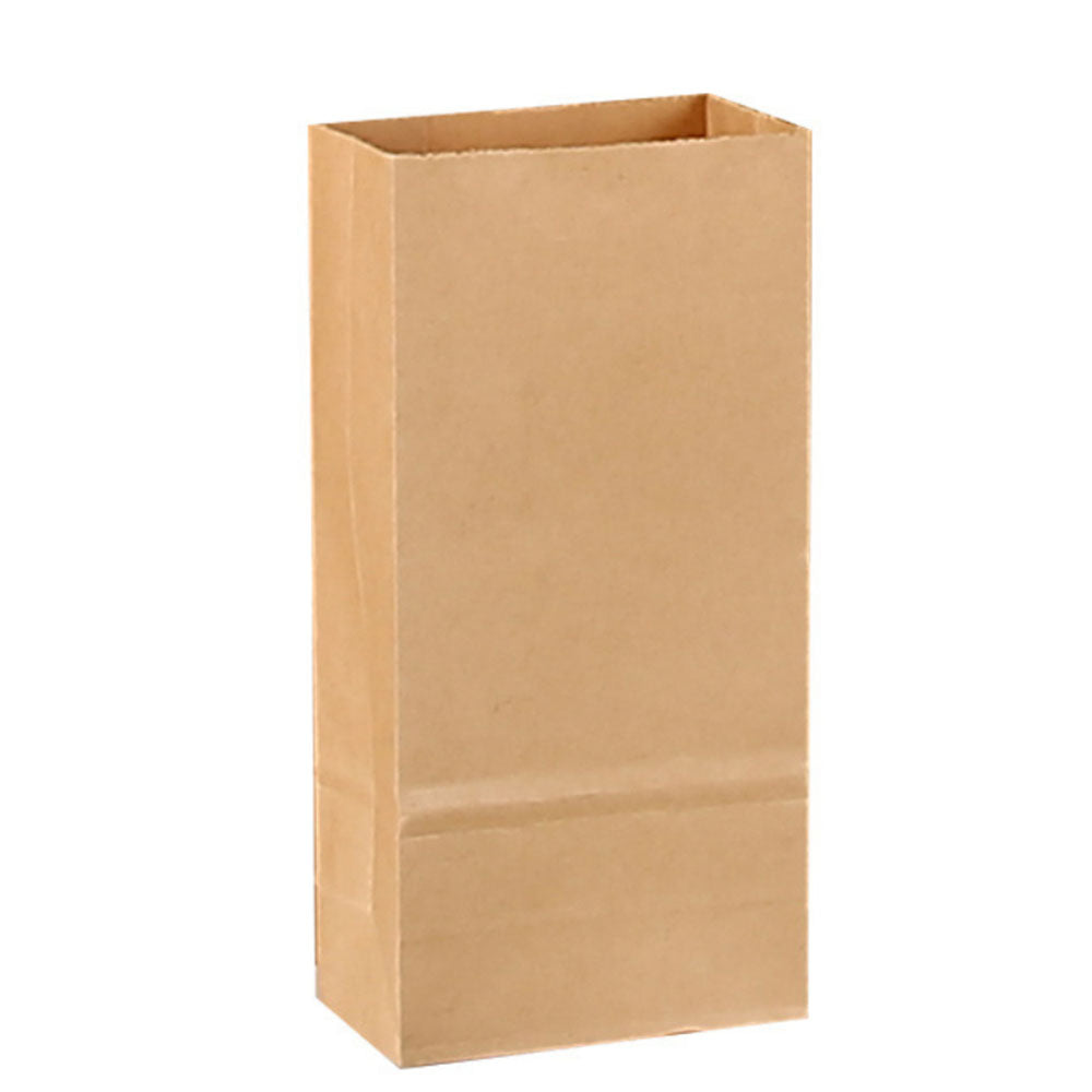 Paper Lunch Bag