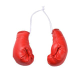 Mini Boxing Gloves