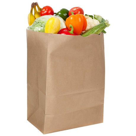 Large Brown Paper Grocery Bag