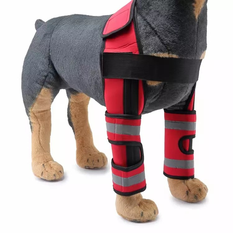 Dog Double Knee Brace