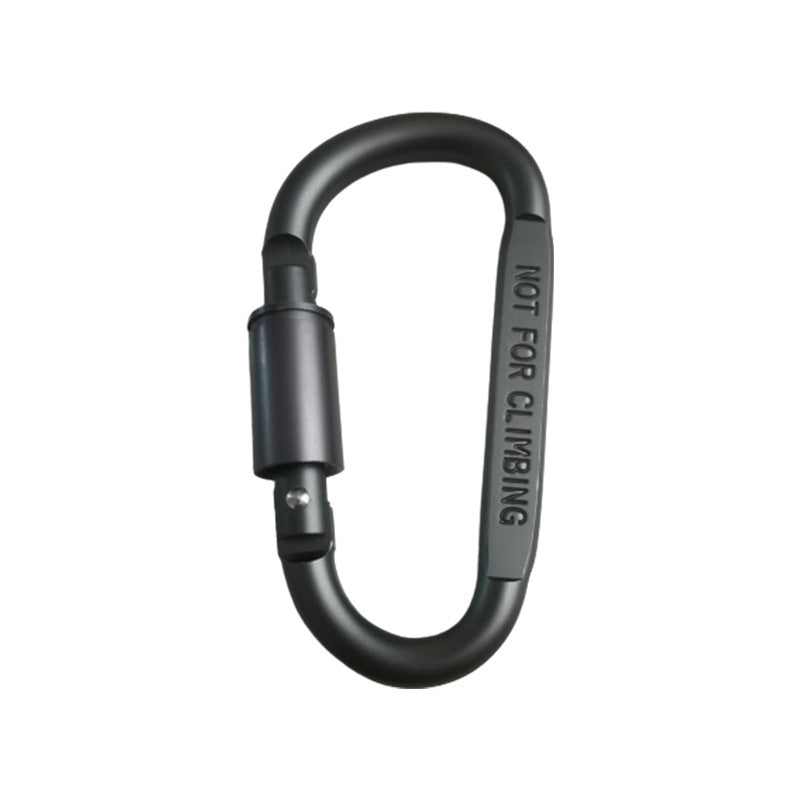 Carabiner Lock