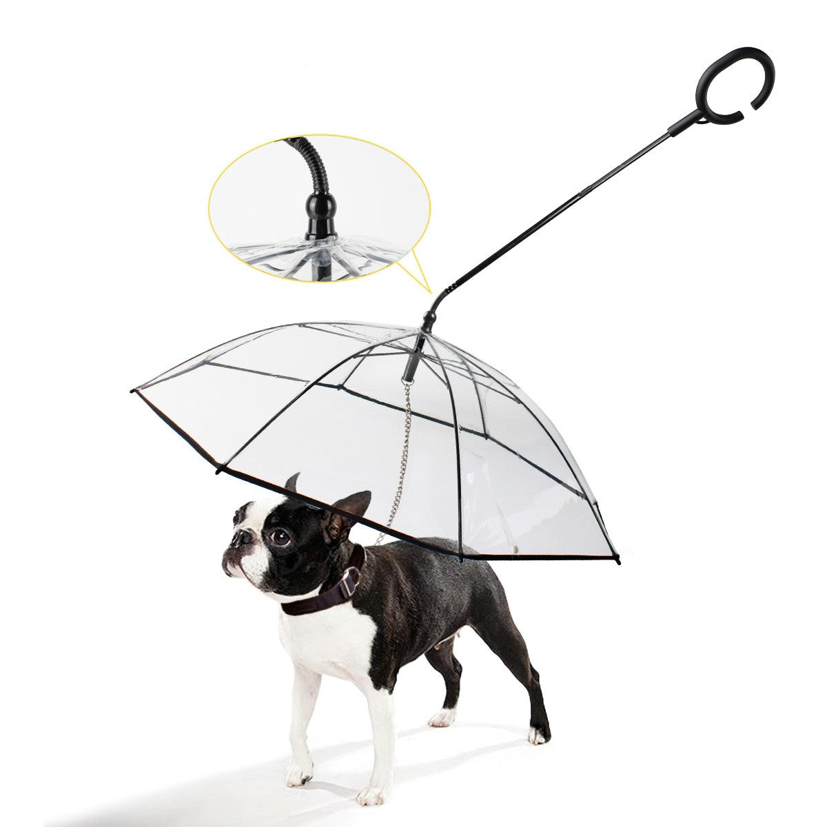 Pet Umbrella