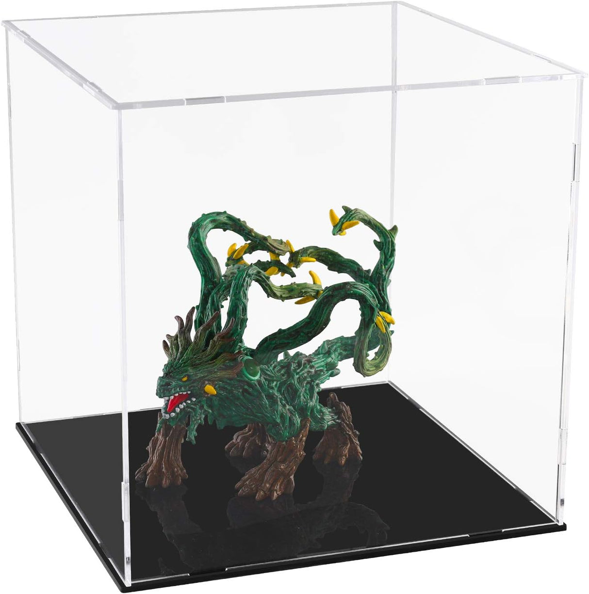 Removable Acrylic Display Case