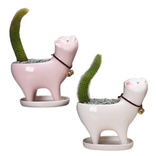 Cute Cat Succulent Plant Pot With Tray