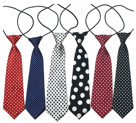 Youth Neck Tie