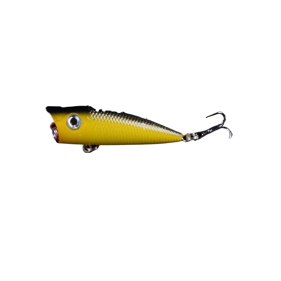 Topwater Lures